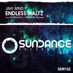 Cover of Endless Waltz