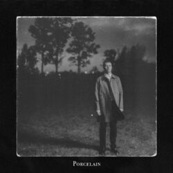 Cover of Porcelain