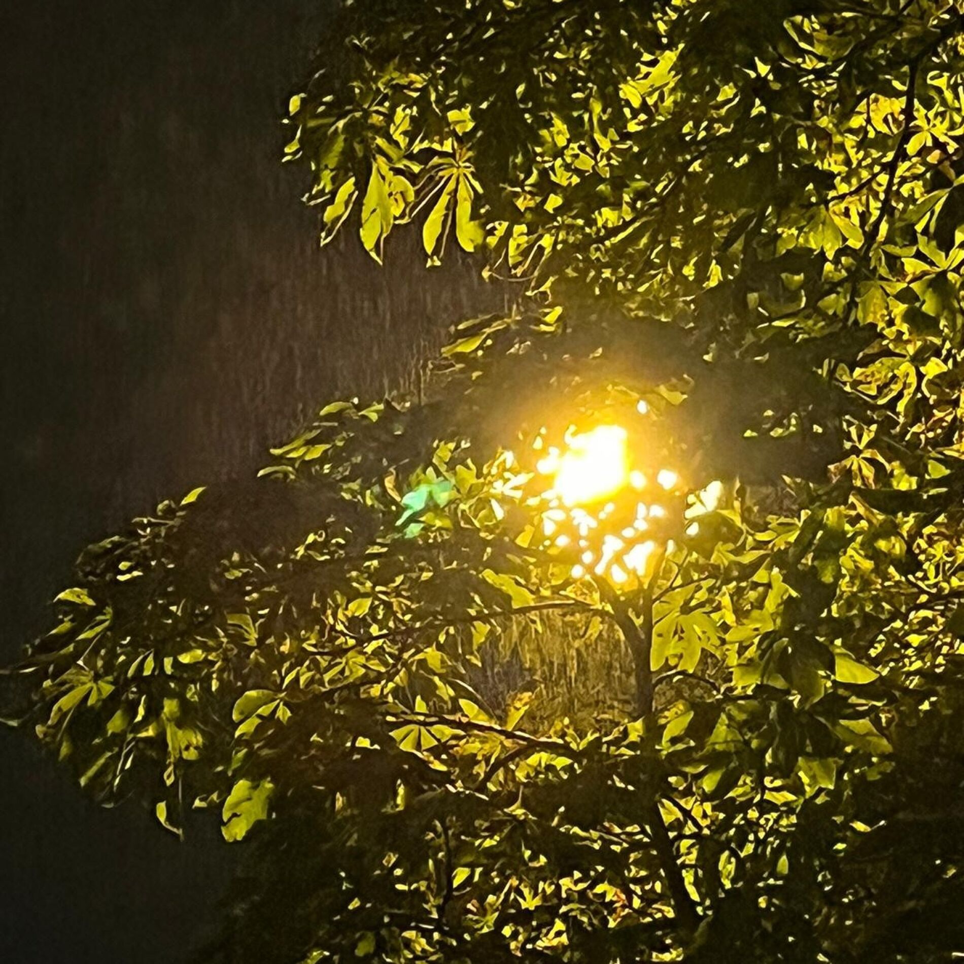 Album cover of Nature
