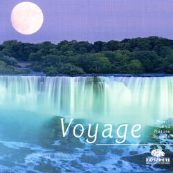 Cover of Voyage