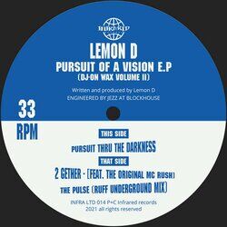 Cover of Pursuit of a Vision