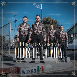 Cover of Lujos De La Vida