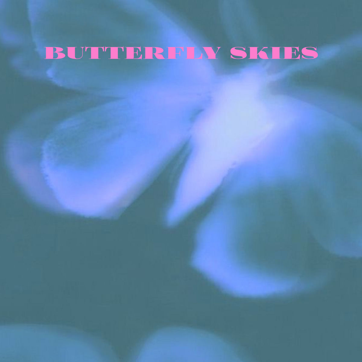 Album cover of Butterfly Skies