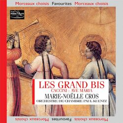 Cover of Ave Maria et Grands bis célèbres