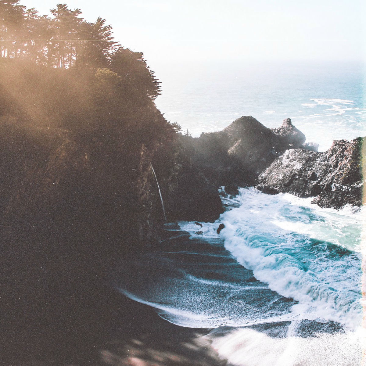 Album cover of Coastline Paradise