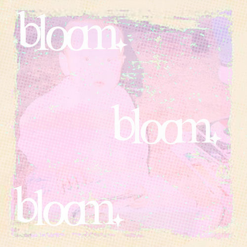 bloom.