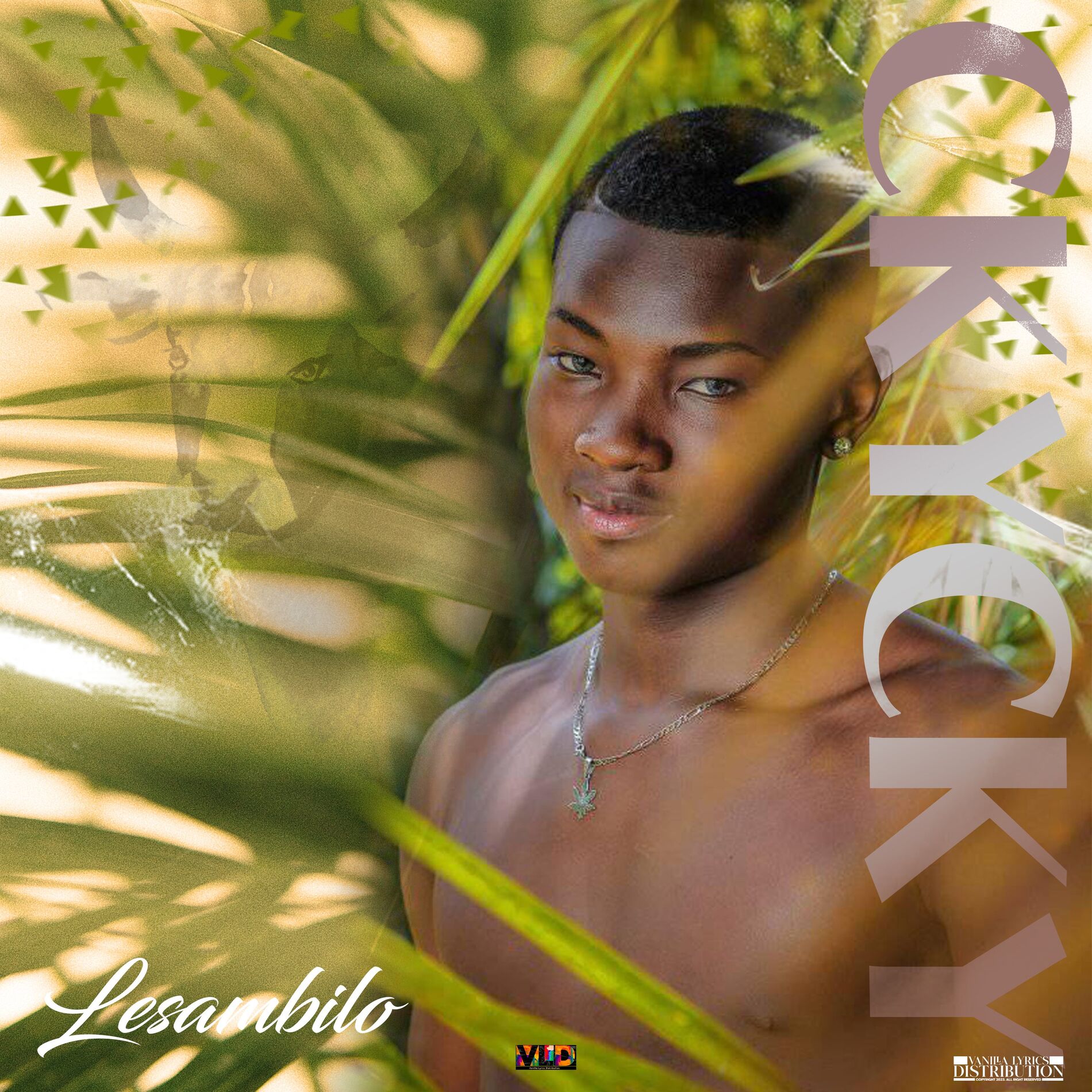 Album cover of Lesambilo