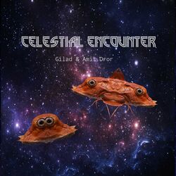 Cover of Celestial Encounter