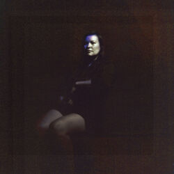 Cover of Hold/Still