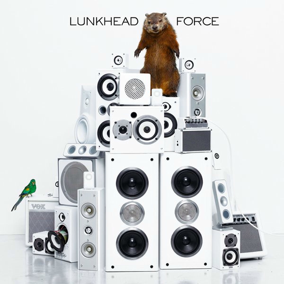 気質アップ LUNKHEAD 白盤 邦楽 - 邦楽
