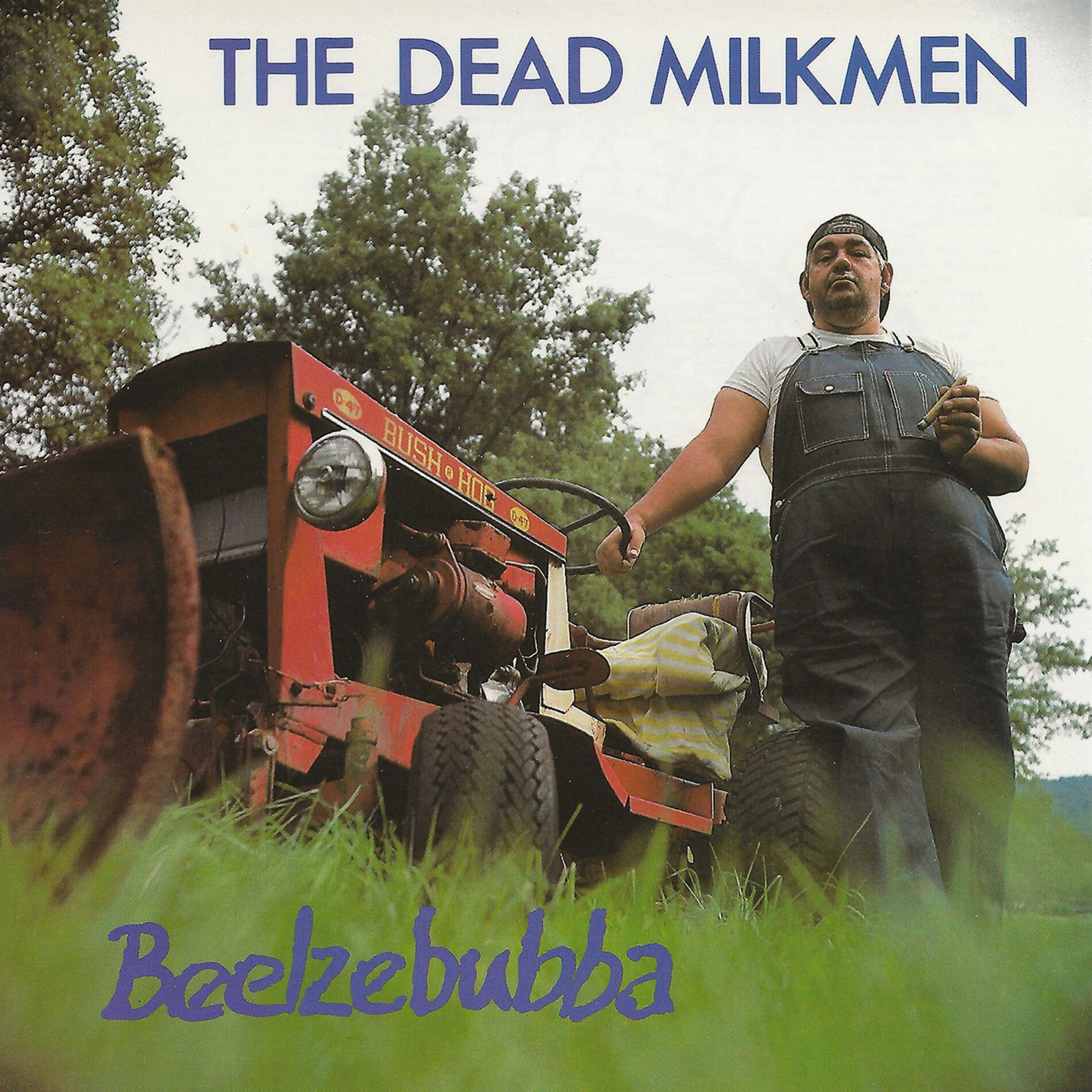Album cover of Beelzebubba