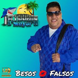 Cover of Besos Falsos