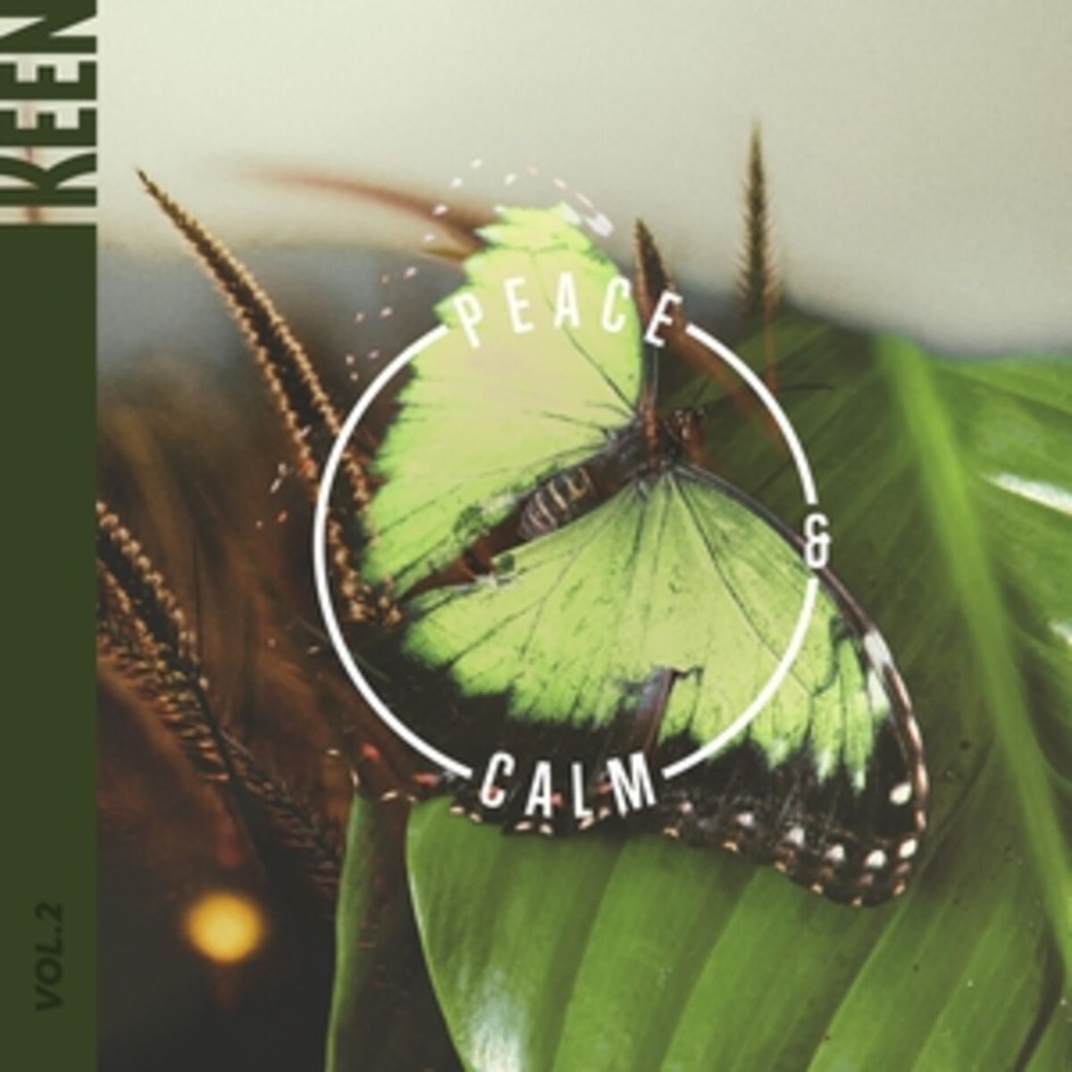 Album cover of The Scent Of Earth After Rain