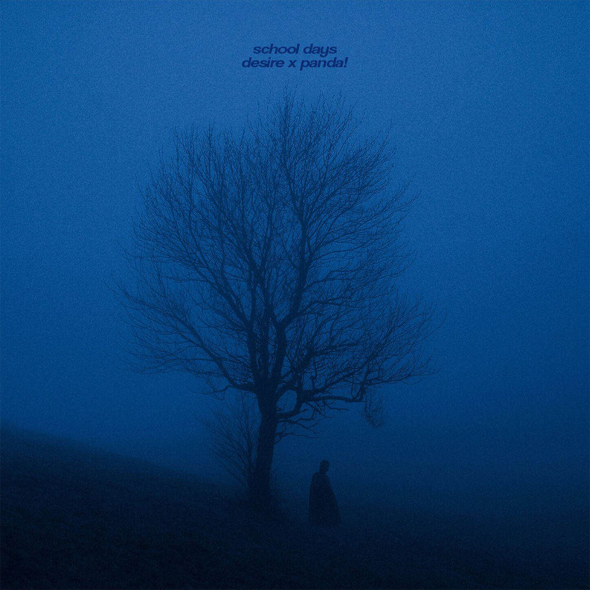 Album cover of school days
