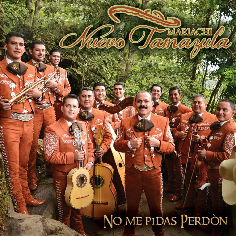 Picture of No Me Pidas Perdon