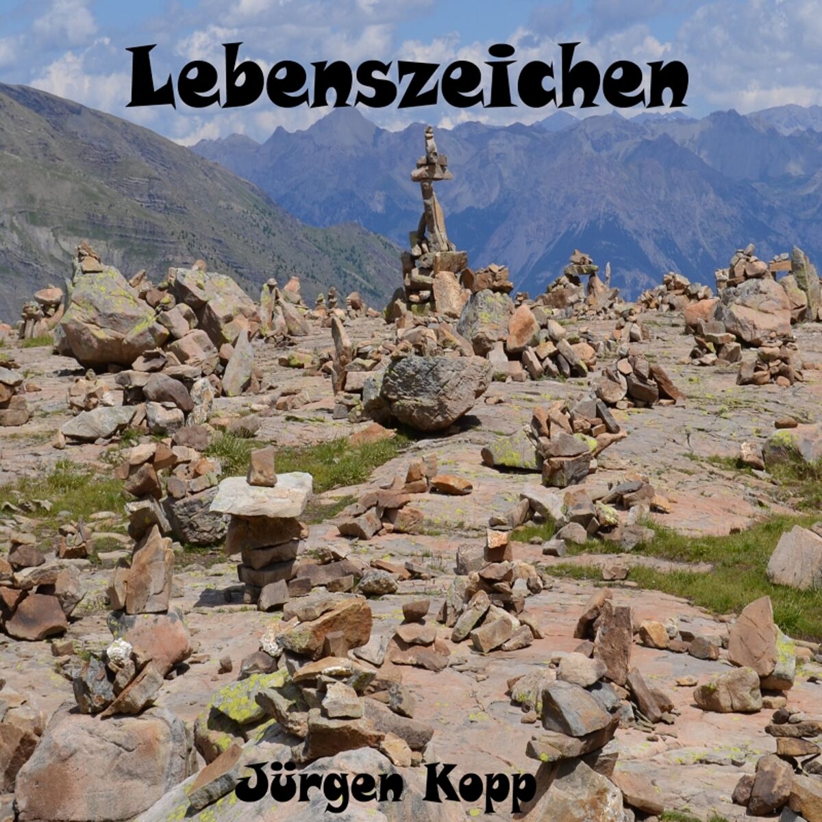 Album cover of Lebenszeichen