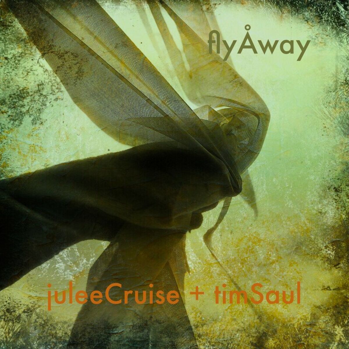 Album cover of Fly Away (HAb Remix)