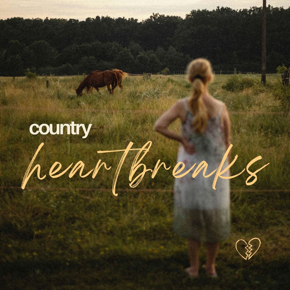 Album cover of Country Heartbreaks