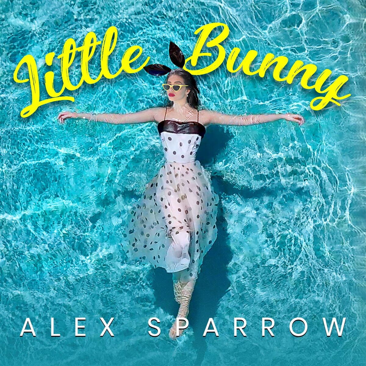 Album cover of Little Bunny