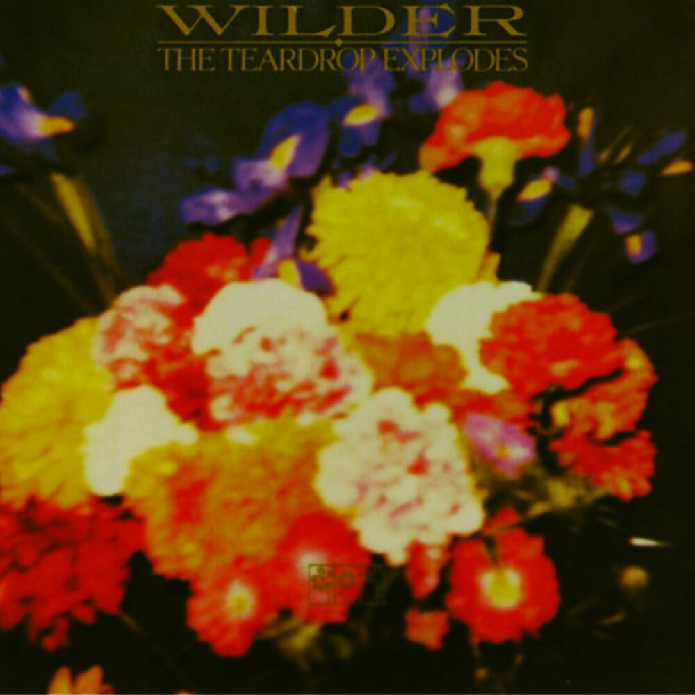 Picture of Wilder