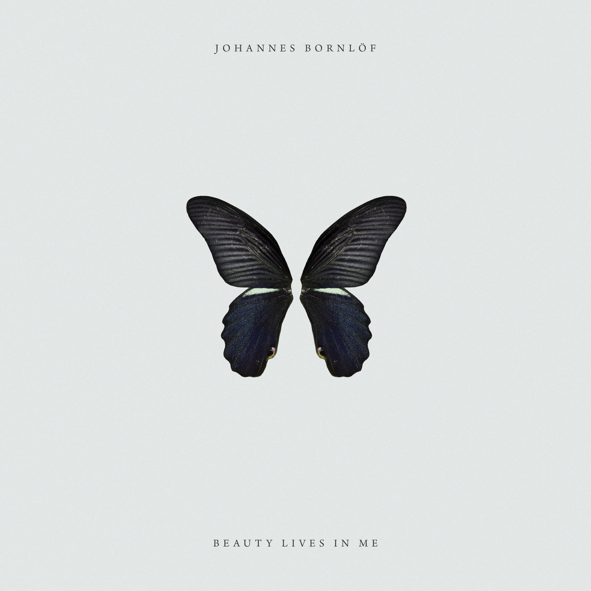 Album cover of Beauty Lives in Me