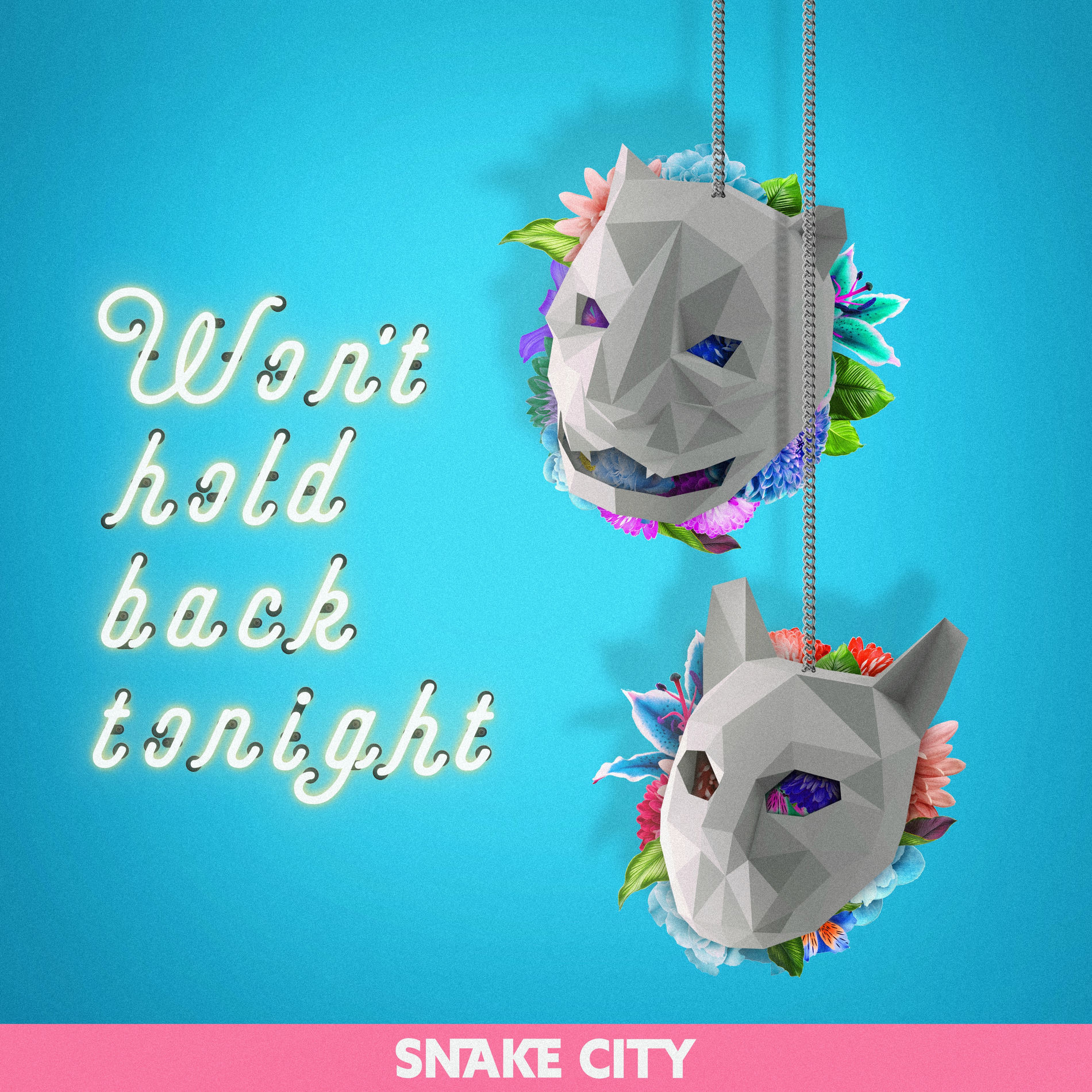 Album cover of Won't Hold Back Tonight