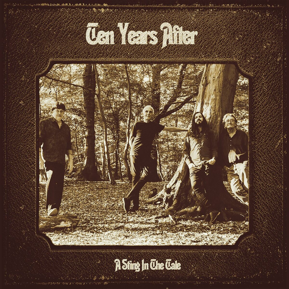 Album cover of Land of the Vandals