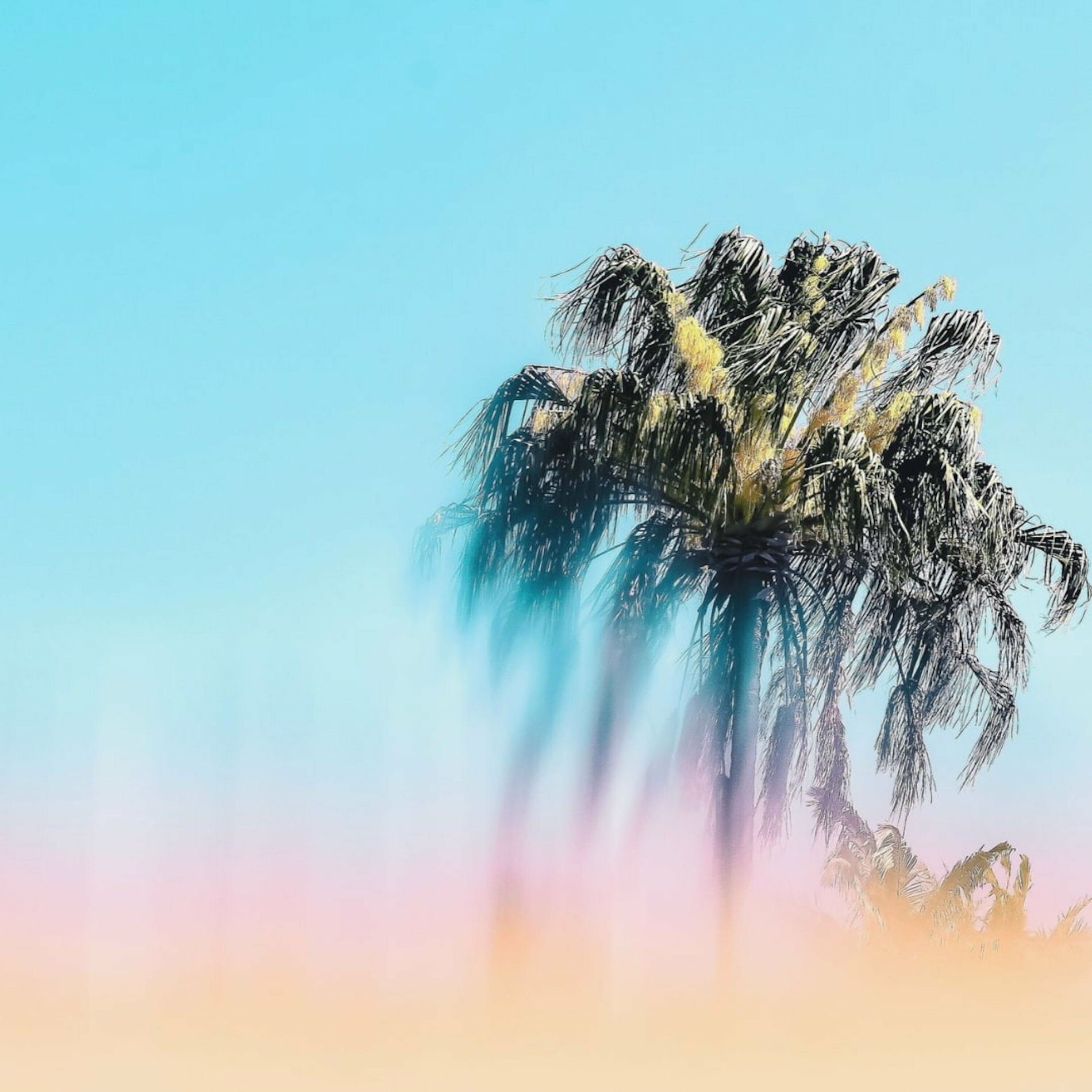 Album cover of Honest