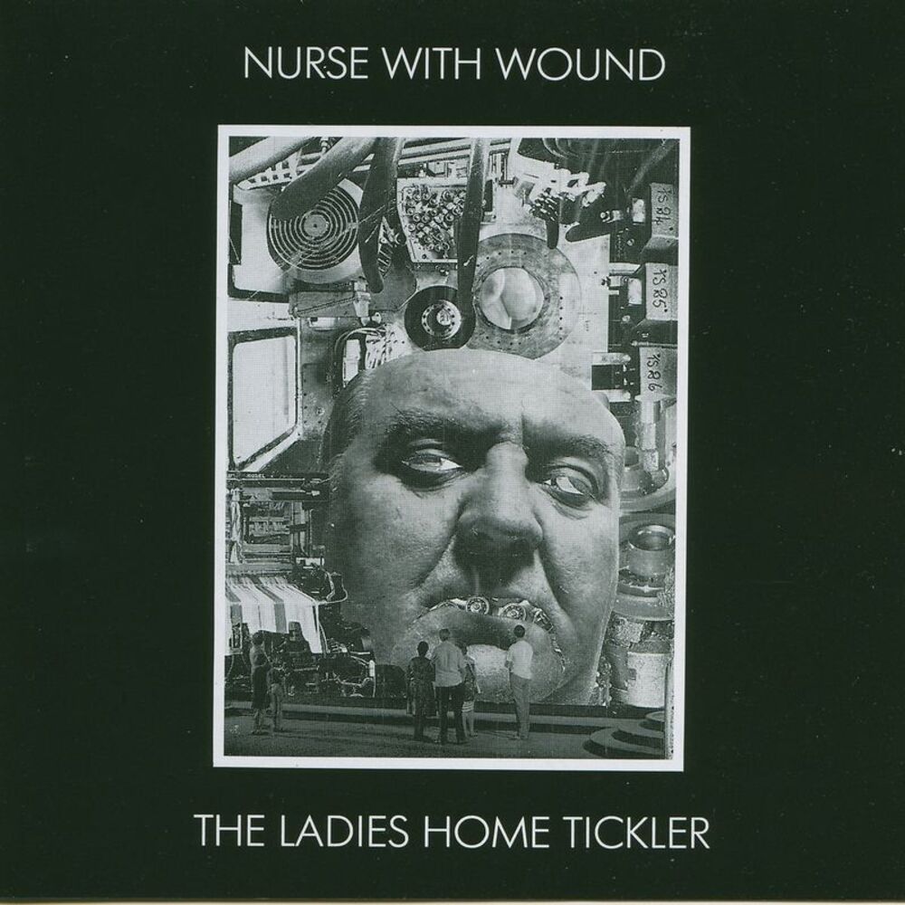 Picture of The Ladies Home Tickler