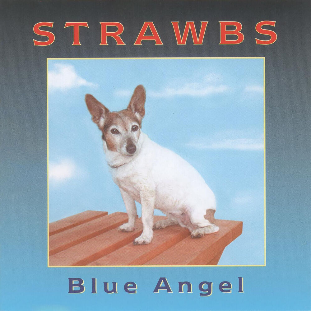 Picture of Blue Angel