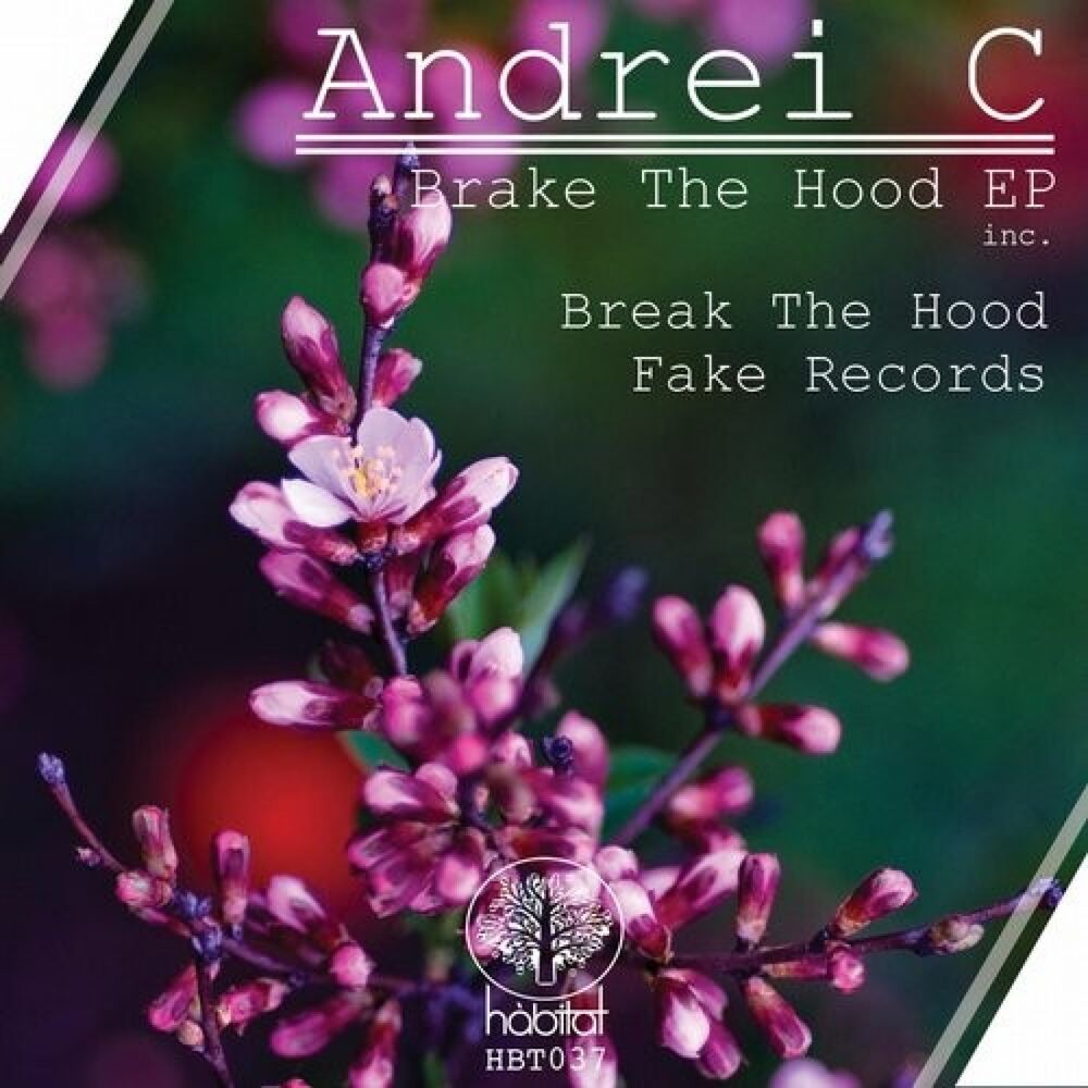 Picture of Brake The Hood EP