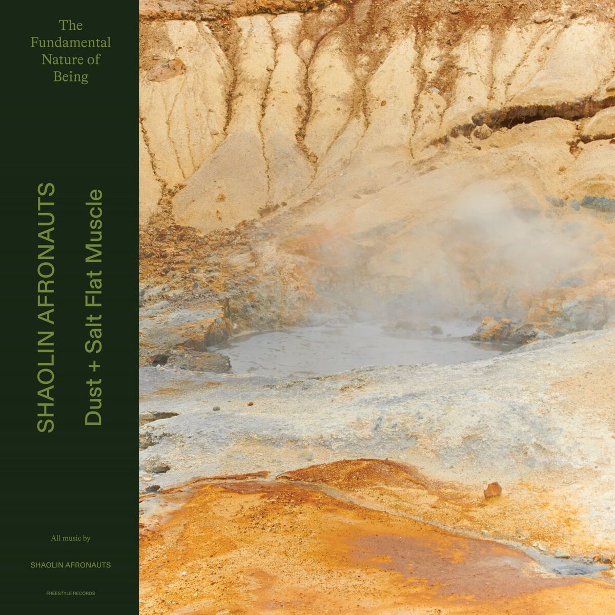 Album cover of Dust / Salt Flat Muscle