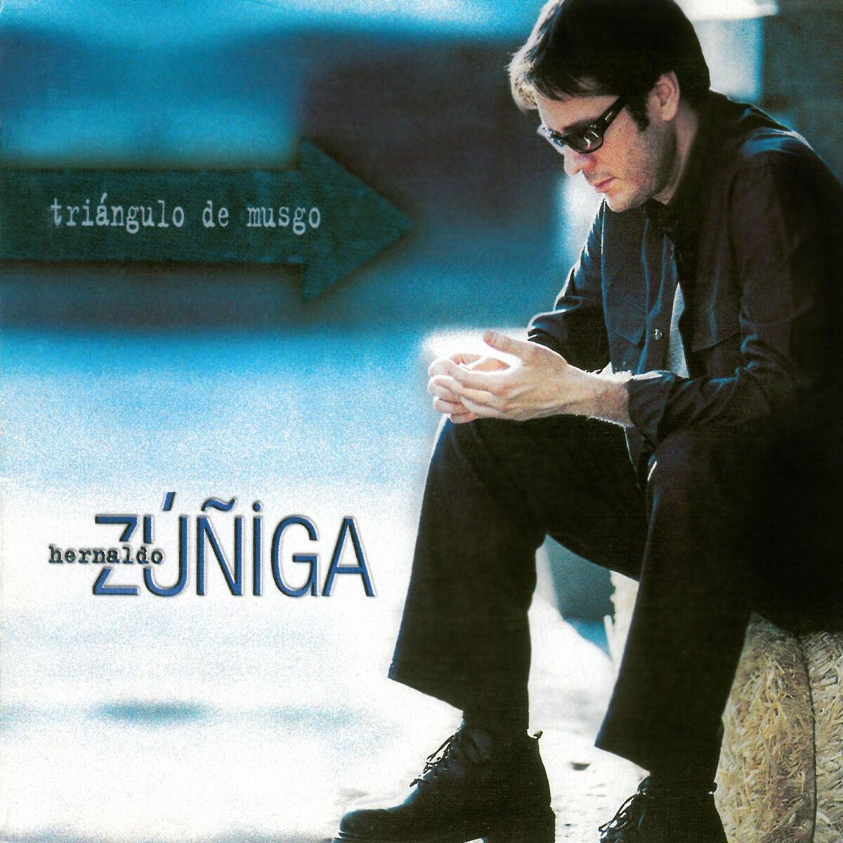 Album cover of Triángulo de Musgo