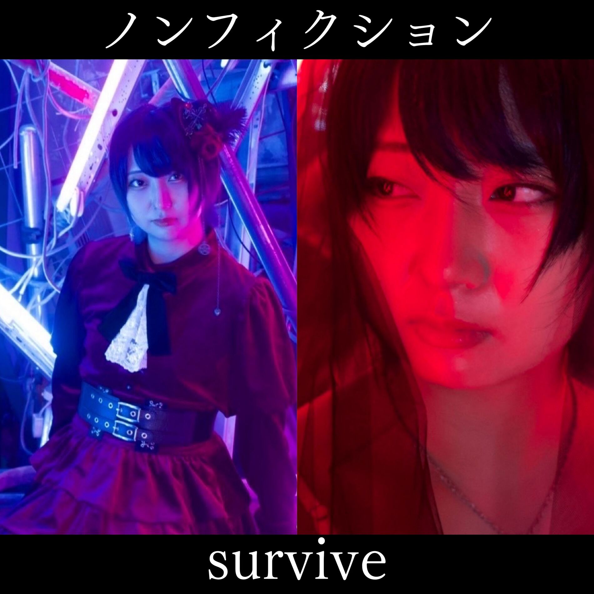Album cover of Nonfiction/survive
