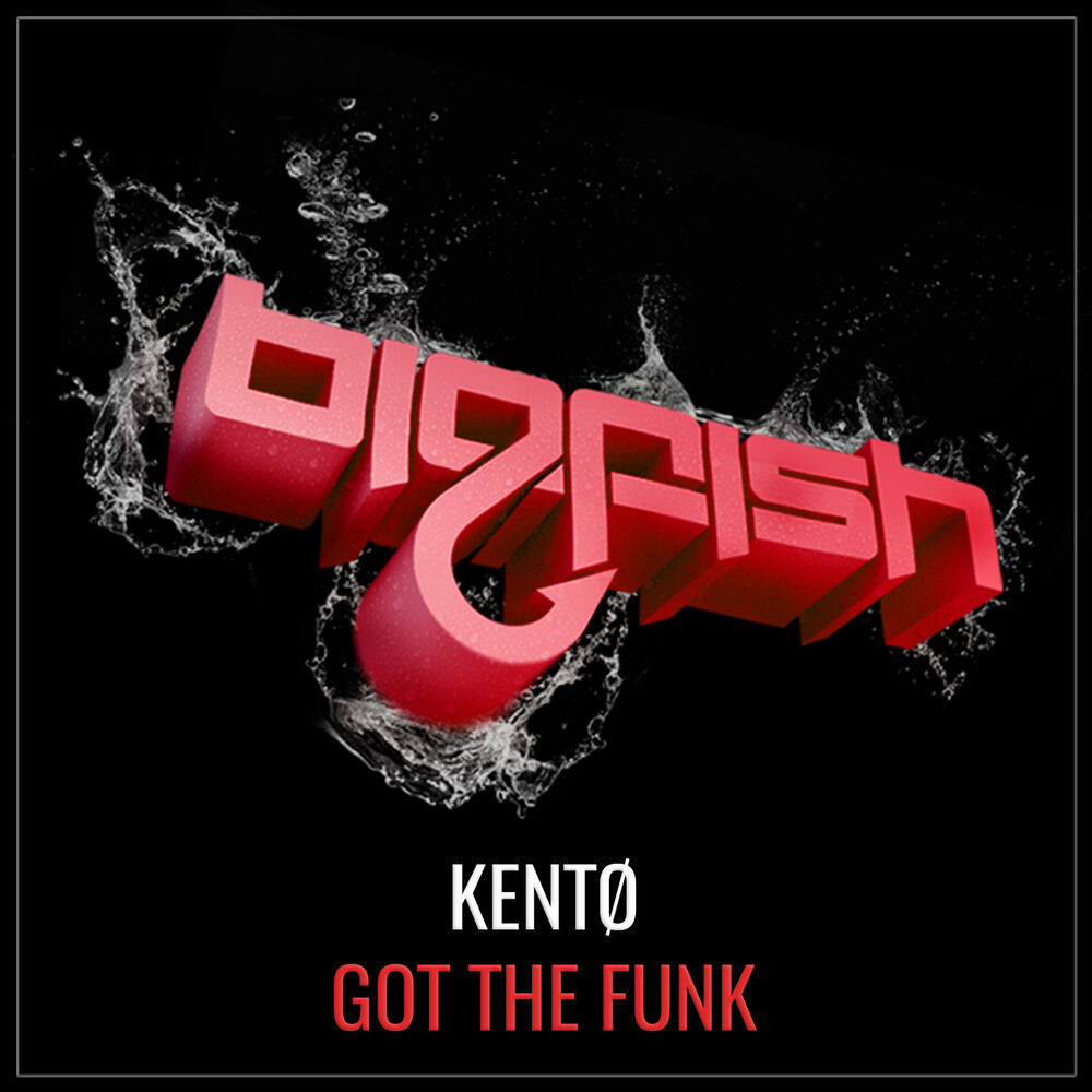 Picture of Got The Funk