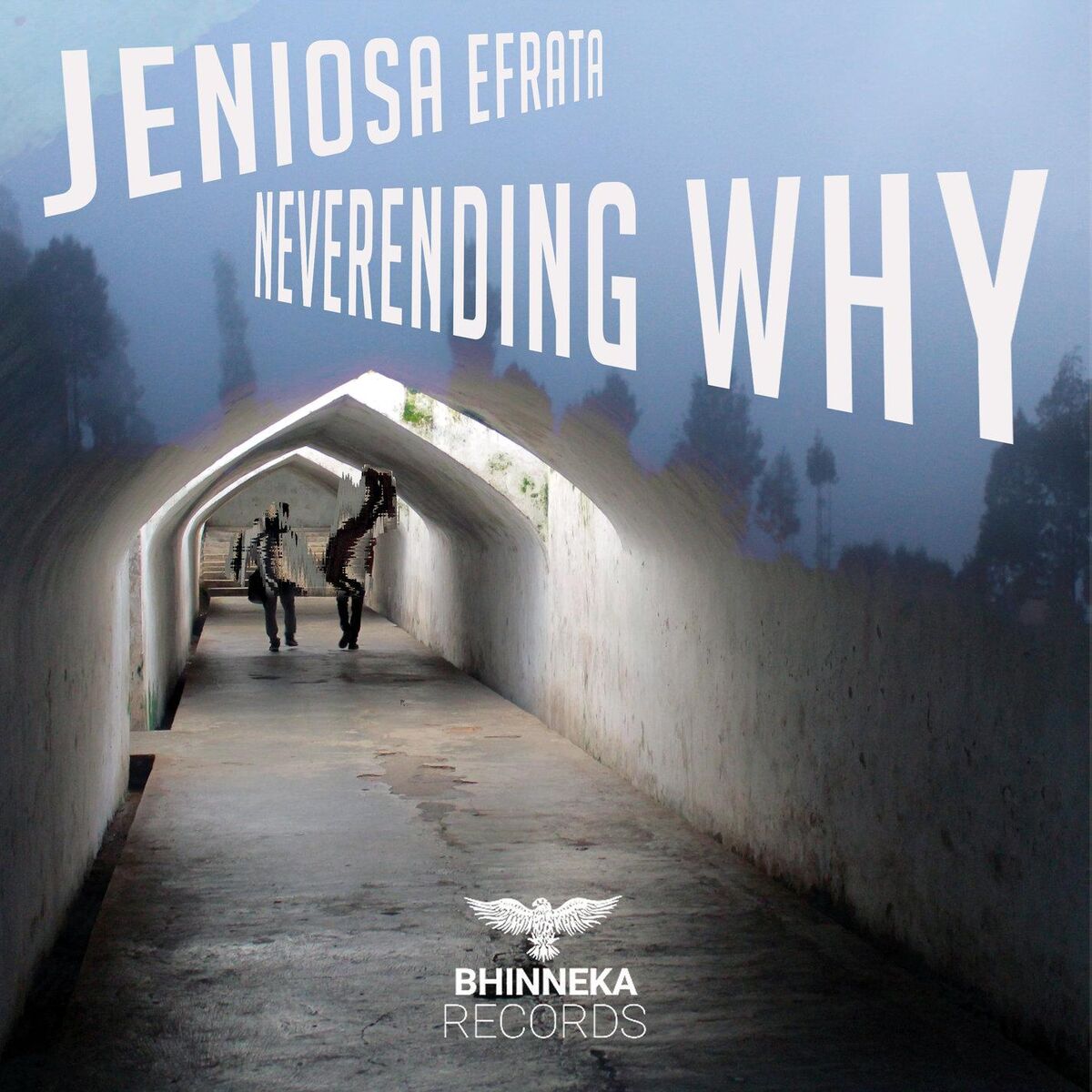 Album cover of Neverending Why
