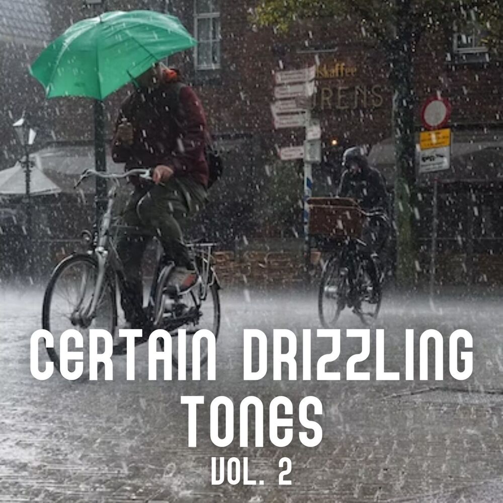 Picture of Certain Drizzling Tones Vol. 2