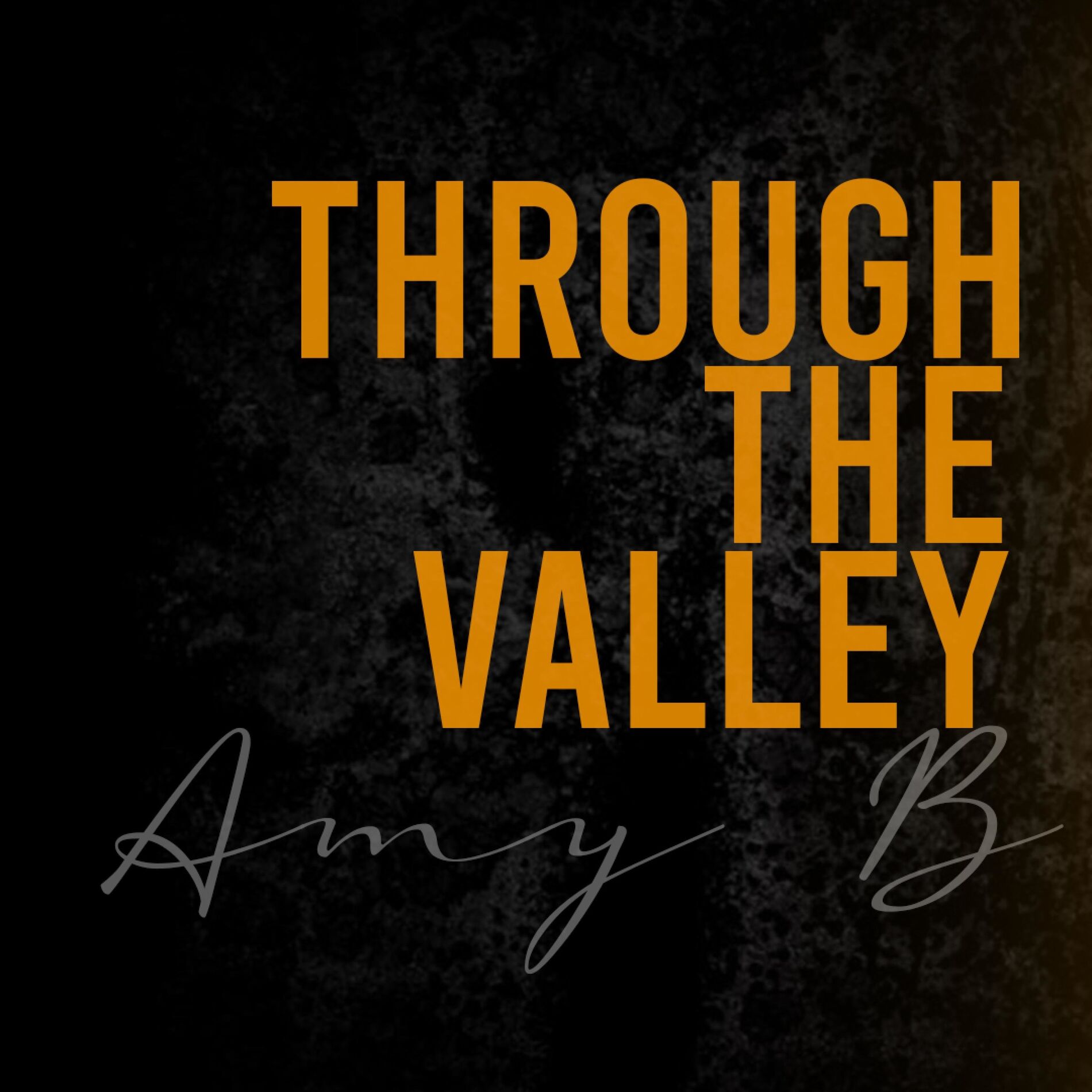 Album cover of The Last of Us (Through the Valley)