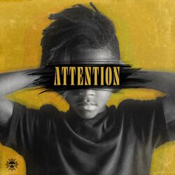Cover of Attention