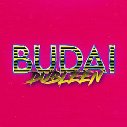 Cover of Dubleen