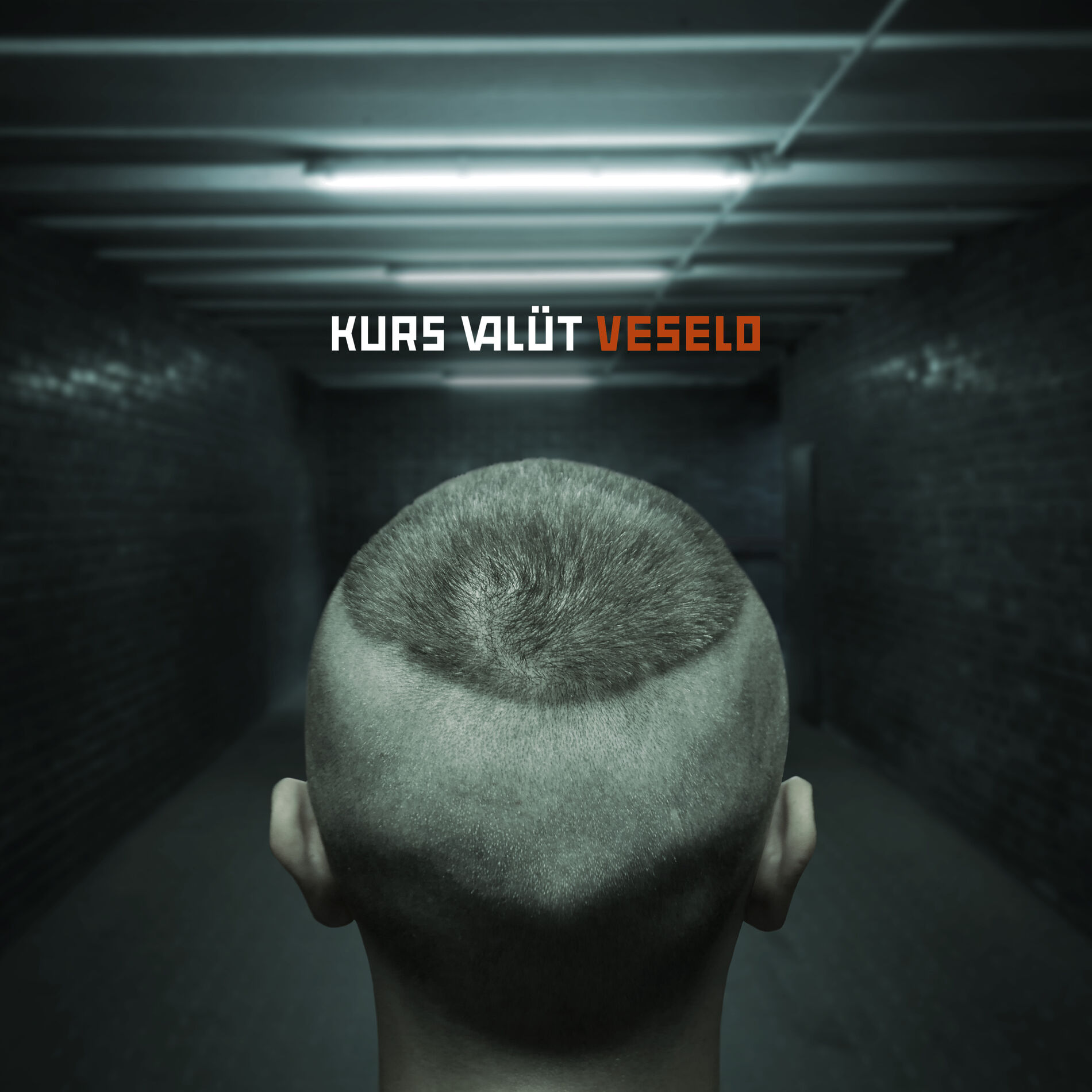 Album cover of Veselo