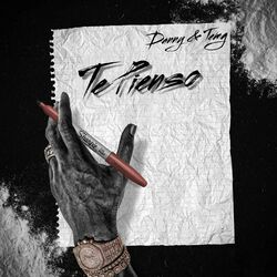 Cover of Te pienso