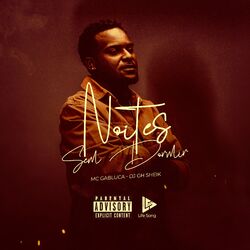 Cover of Noite Sem Dormir