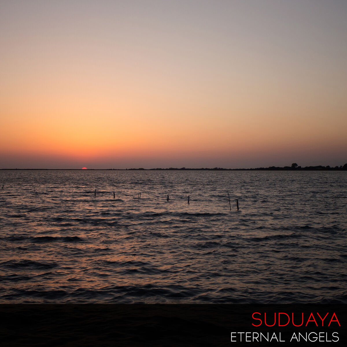 Album cover of Rising Sun