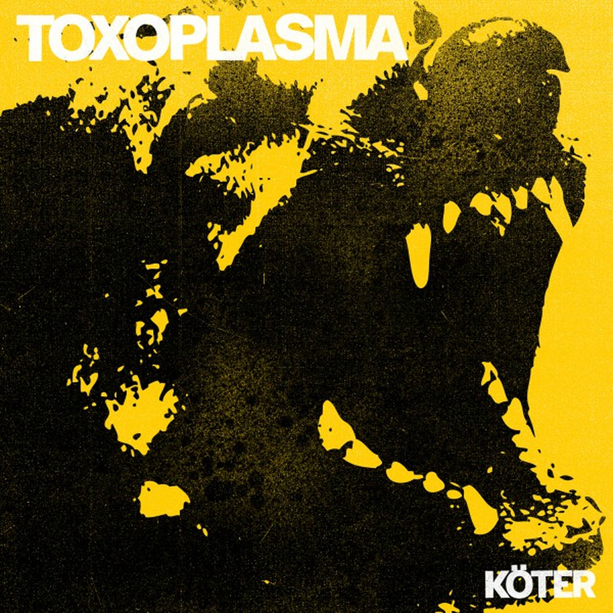 Album cover of Köter