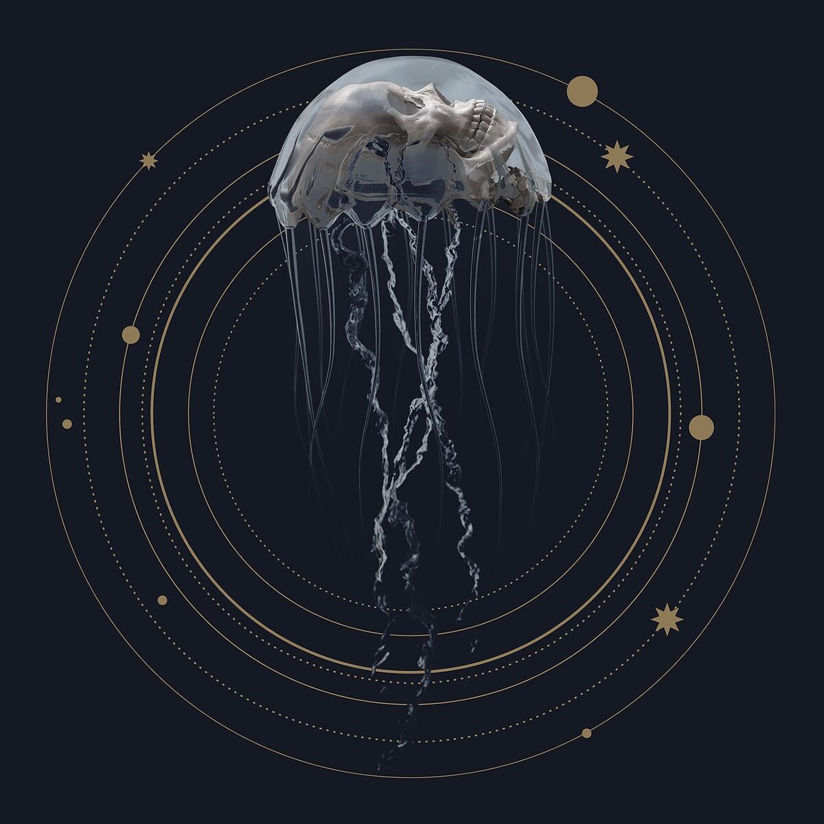 Album cover of Wake up Right Now (Clip Version)