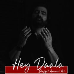 Cover of Hey Daata