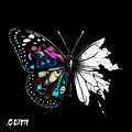 C/_ipped Wings