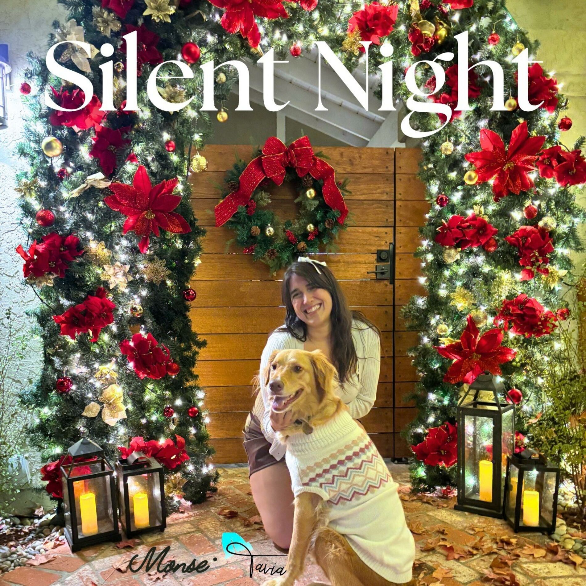 Album cover of Silent Night