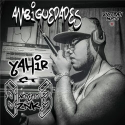 Cover of Ambigüedades